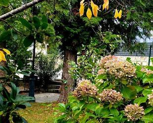 Jardí de Casa o xalet en venda en Carballeda de Valdeorras amb Aire condicionat i Piscina