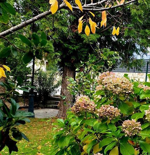 Foto 1 de Casa o xalet en venda a Rúa 25 de Xulio, 7, Carballeda de Valdeorras, Ourense