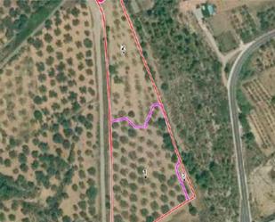 Non-constructible Land for sale in Rossell