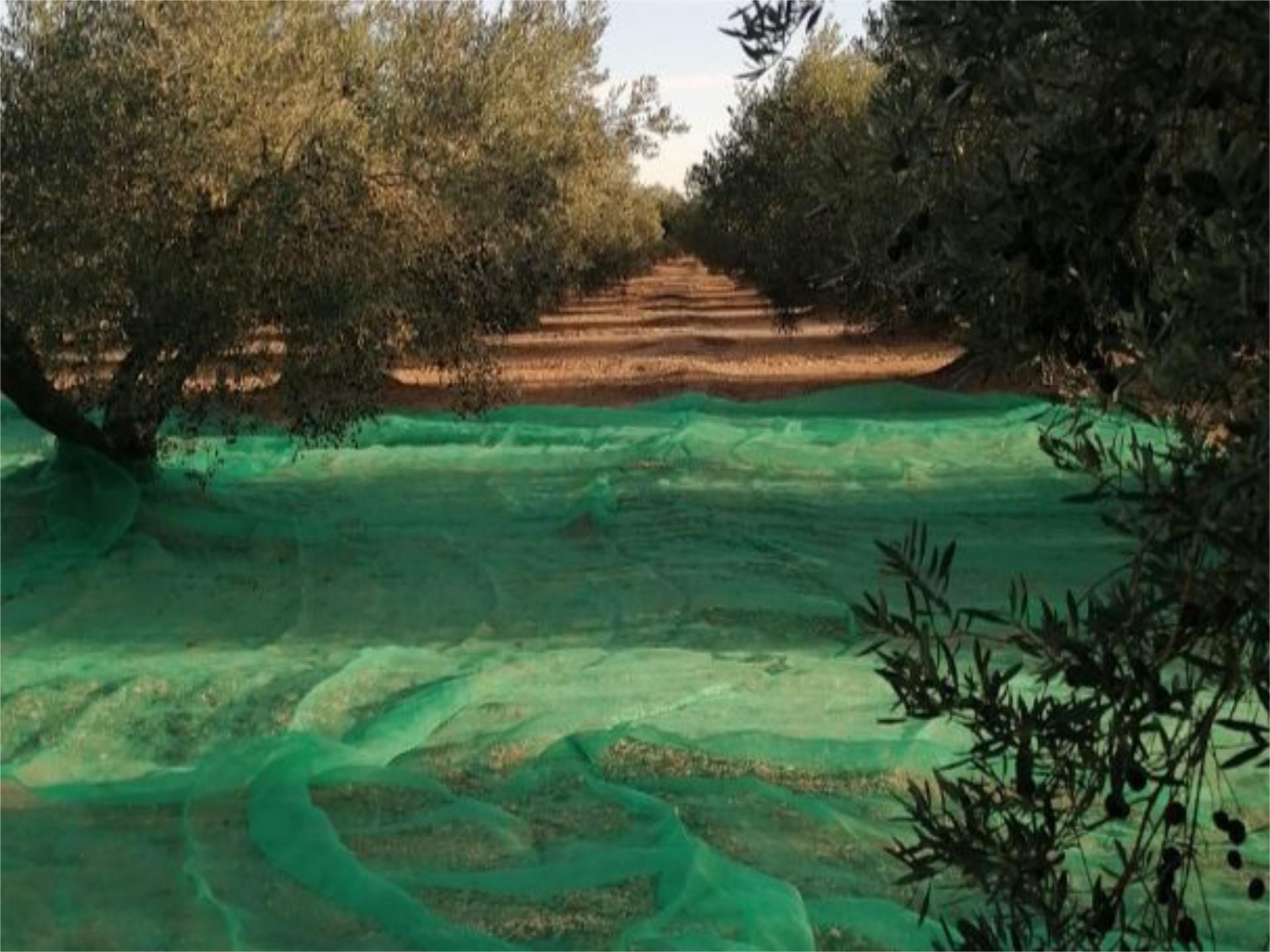 Jardí de No Urbanitzable en venda en Godall