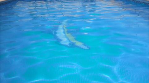 Foto 3 de Casa o xalet en venda a Calle de Los Gladiolos, 1, El Álamo, Madrid