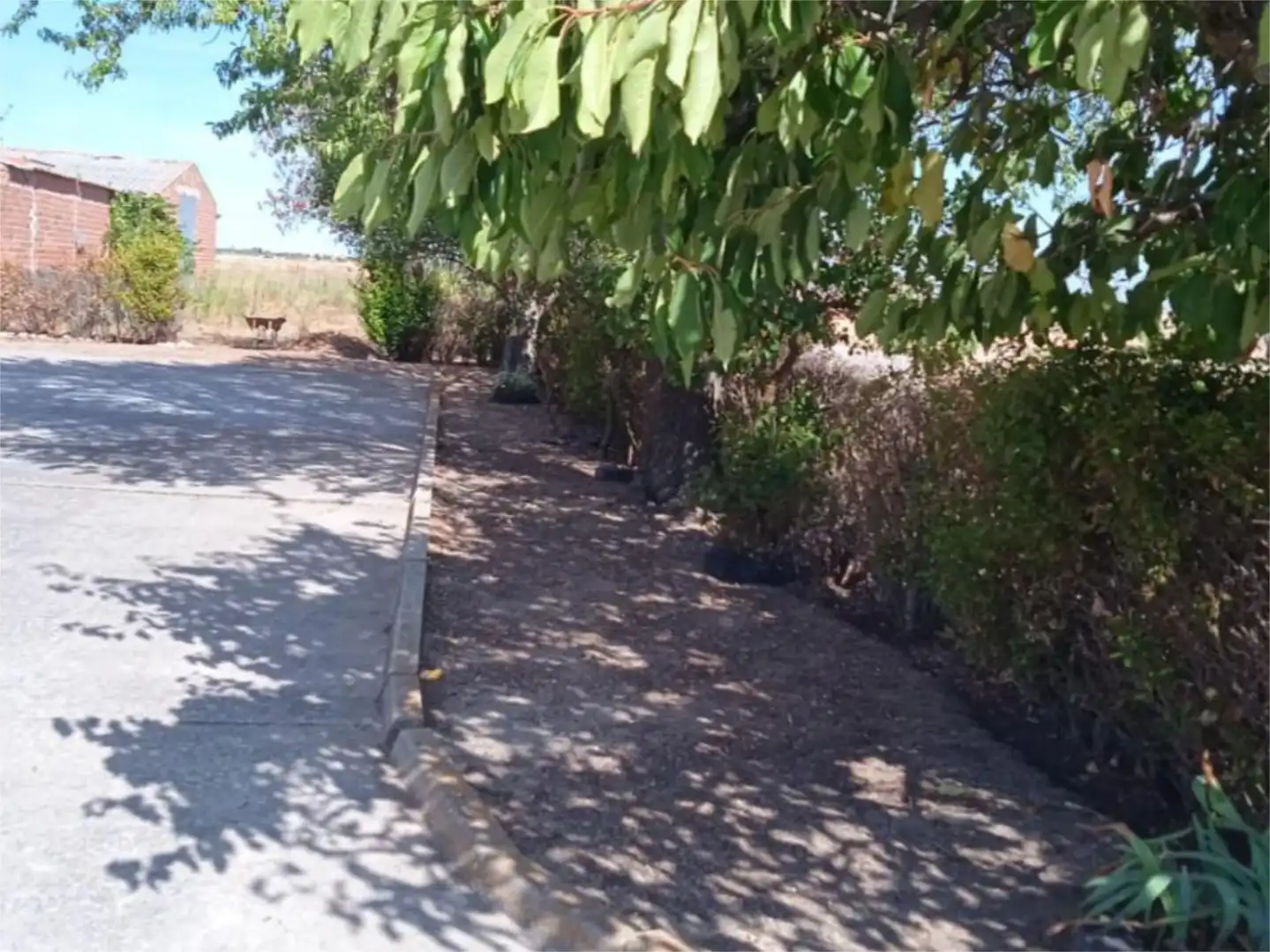 Casa o xalet en venda a Calle Pozón, 4, Salvador de Zapardiel Casa o xalet en venda en Salvador de Zapardiel amb Calefacció, Terrassa i Traster