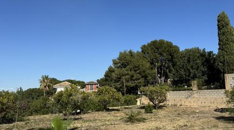 Land for sale in Calle Juan de Juanes, 12, Mas de la Montañeta, Valencia - image 3 Photo 3 of Land for sale in Calle Juan de Juanes, 12, Mas de la Montañeta, Valencia