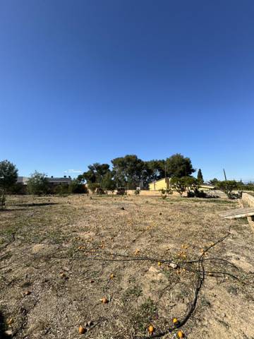 Terreno en Venta en Calle Juan de Juanes, 12 en Mas de la Montañeta