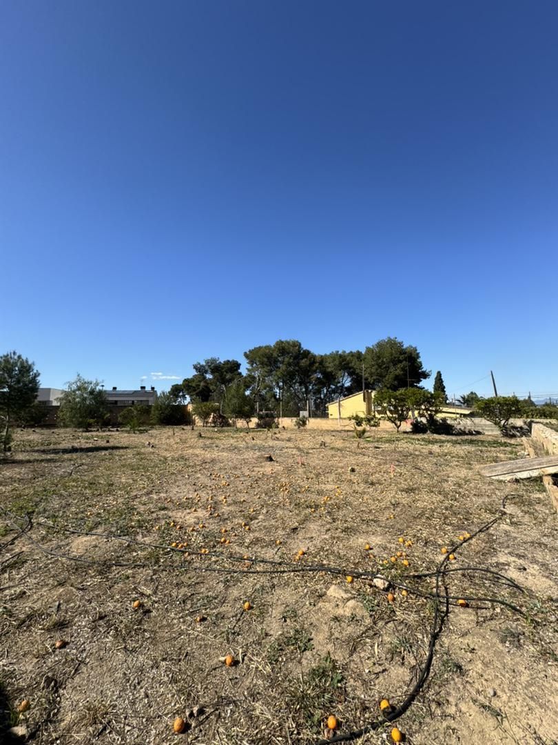 Land for sale in Torrent