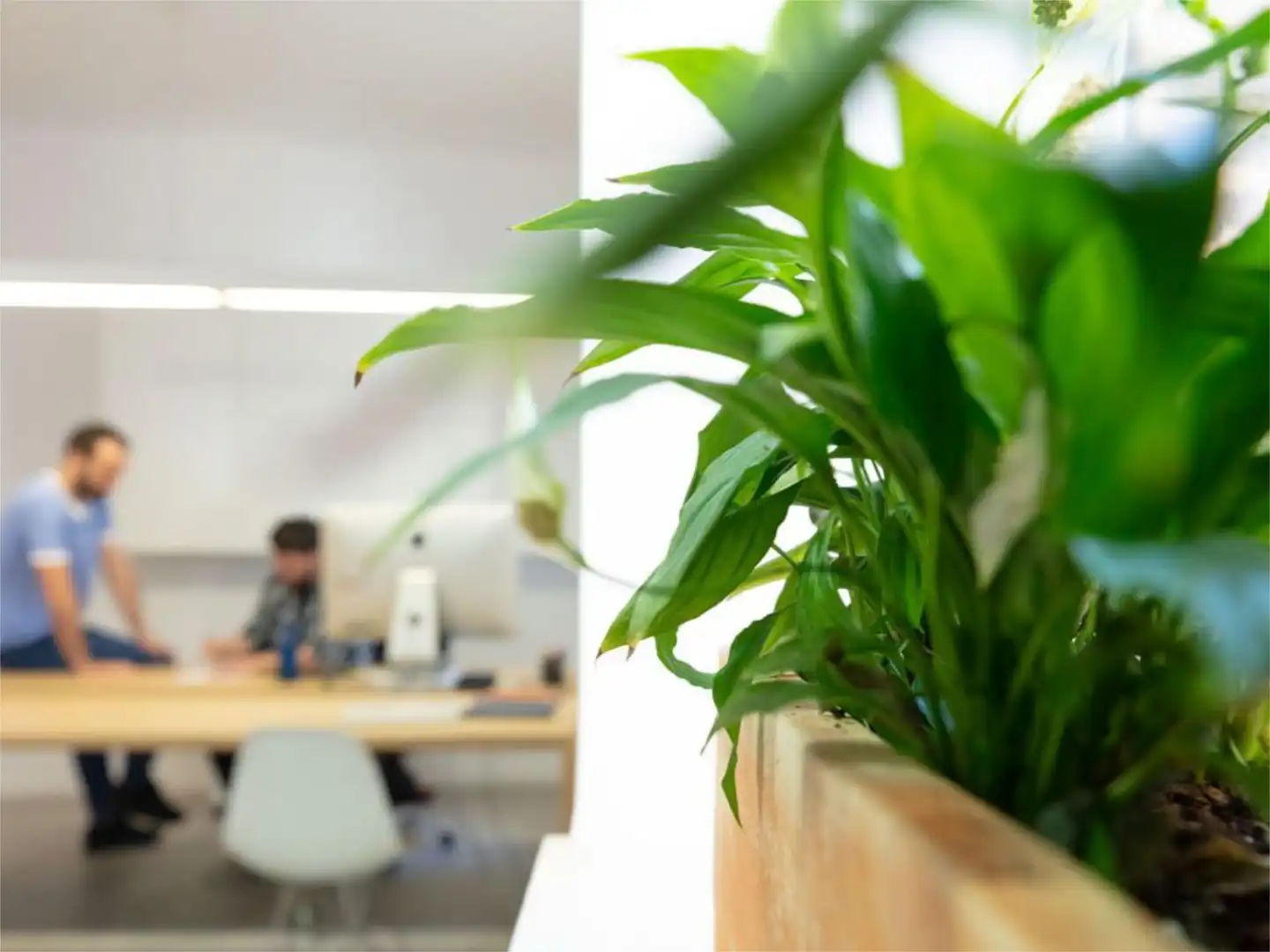 Commercial properties for rent in Madrid  with Heating and Furnished