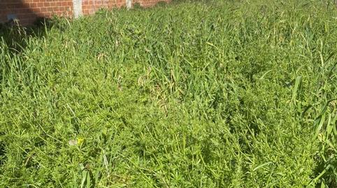 Photo 3 of Constructible Land for sale in Rúa Serra de Outes, 75, Residencia - Abella, Lugo