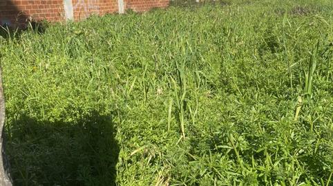 Photo 2 of Constructible Land for sale in Rúa Serra de Outes, 75, Residencia - Abella, Lugo