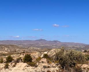 Vista exterior de Terreny en venda en Zurgena