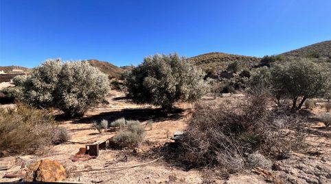 Photo 5 of Land for sale in Zurgena, Almería
