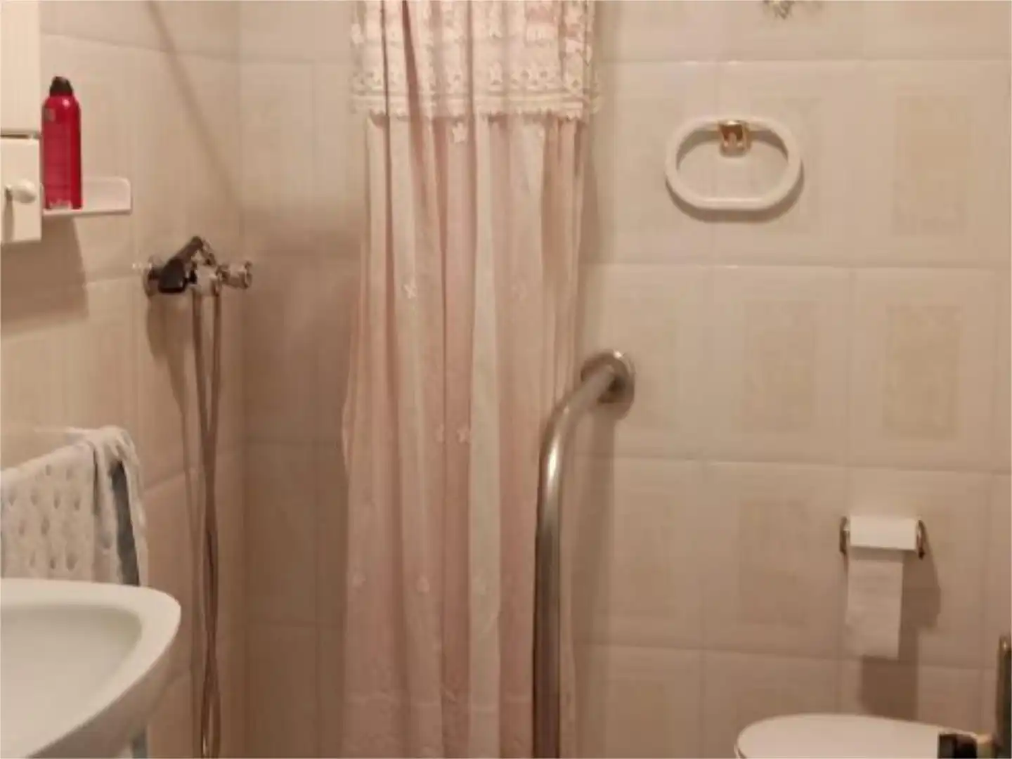 Houses for sale in Calle Jose Romera Granados, 28, Canjáyar Bathroom of Houses for sale in Canjáyar