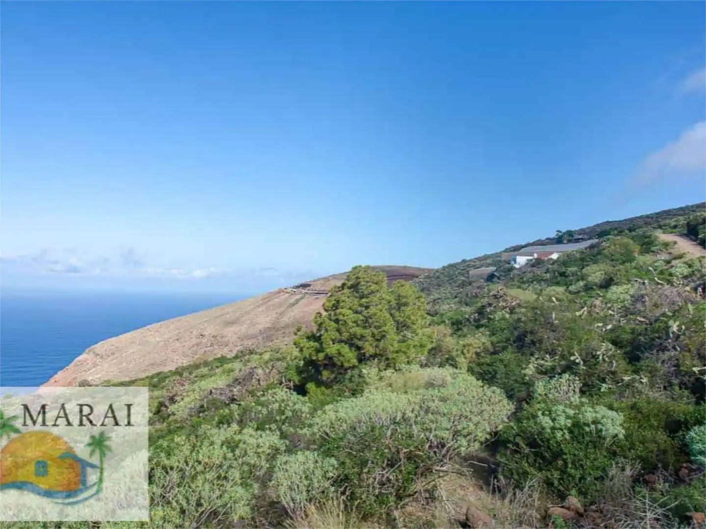 Vista exterior de Terreno en venta en Puntagorda