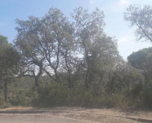 Constructible Land for sale in Santa Cristina d'Aro