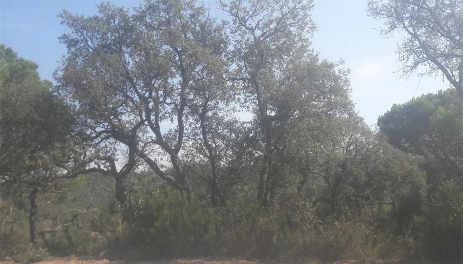 Constructible Land for sale in Urbanitzacio de Sant Miquel D'aro, 102, Urbanitzacions del Nord, Girona - image 1 Photo 1 of Constructible Land for sale in Urbanitzacio de Sant Miquel D'aro, 102, Urbanitzacions del Nord, Girona