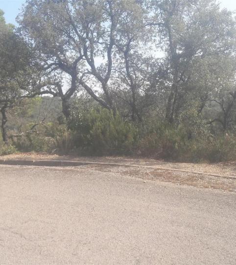 Constructible Land for sale in Urbanitzacio de Sant Miquel D'aro, 102, Urbanitzacions del Nord, Girona - image 2 Photo 2 of Constructible Land for sale in Urbanitzacio de Sant Miquel D'aro, 102, Urbanitzacions del Nord, Girona