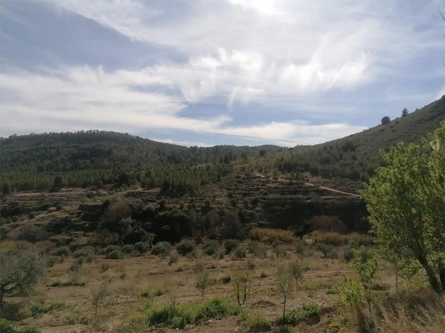 Maisonette zum Verkauf in Elche de la Sierra