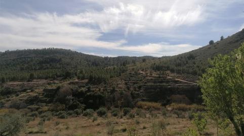 Duplex for sale in Calle Caño, 22, Elche de la Sierra, Albacete - image 4 Photo 4 of Duplex for sale in Calle Caño, 22, Elche de la Sierra, Albacete