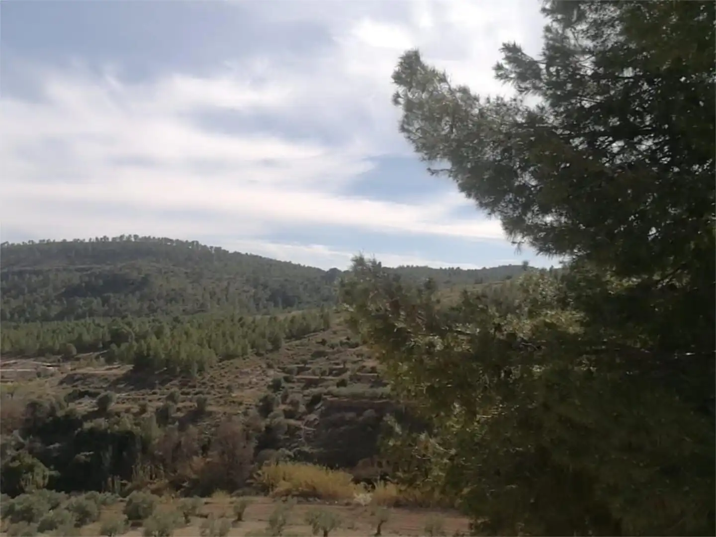 Maisonette zum Verkauf in Elche de la Sierra