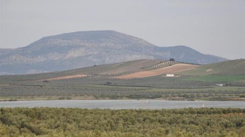 Finca rústica en venda a Campillos, Málaga - imatge 5 Foto 5 de Finca rústica en venda a Campillos, Málaga
