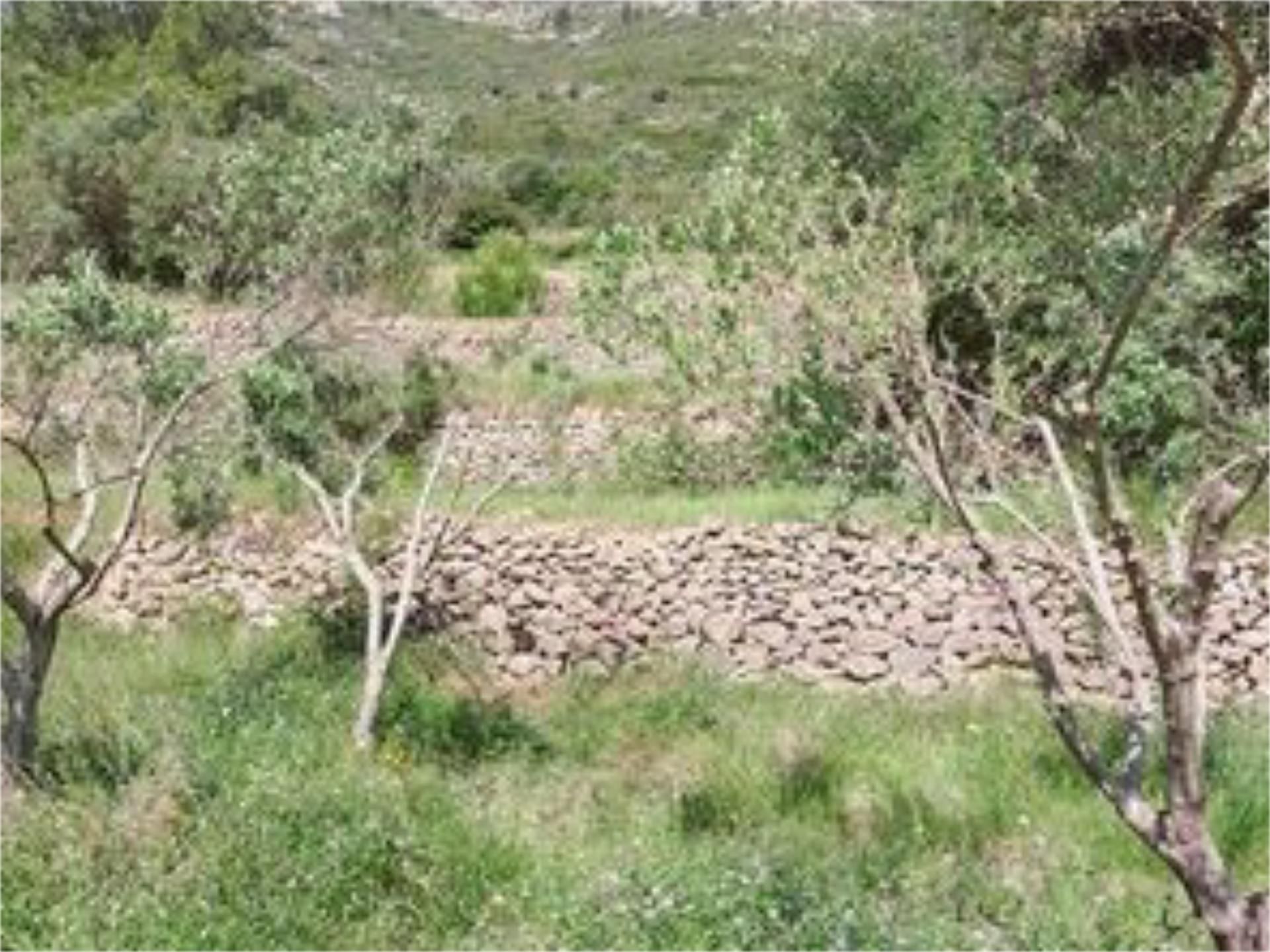 Grundstücke zum verkauf in Xaló