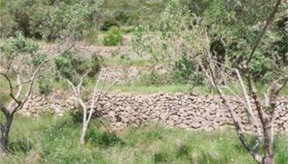 Land for sale in Xaló, Alicante - image 1 Photo 1 of Land for sale in Xaló, Alicante