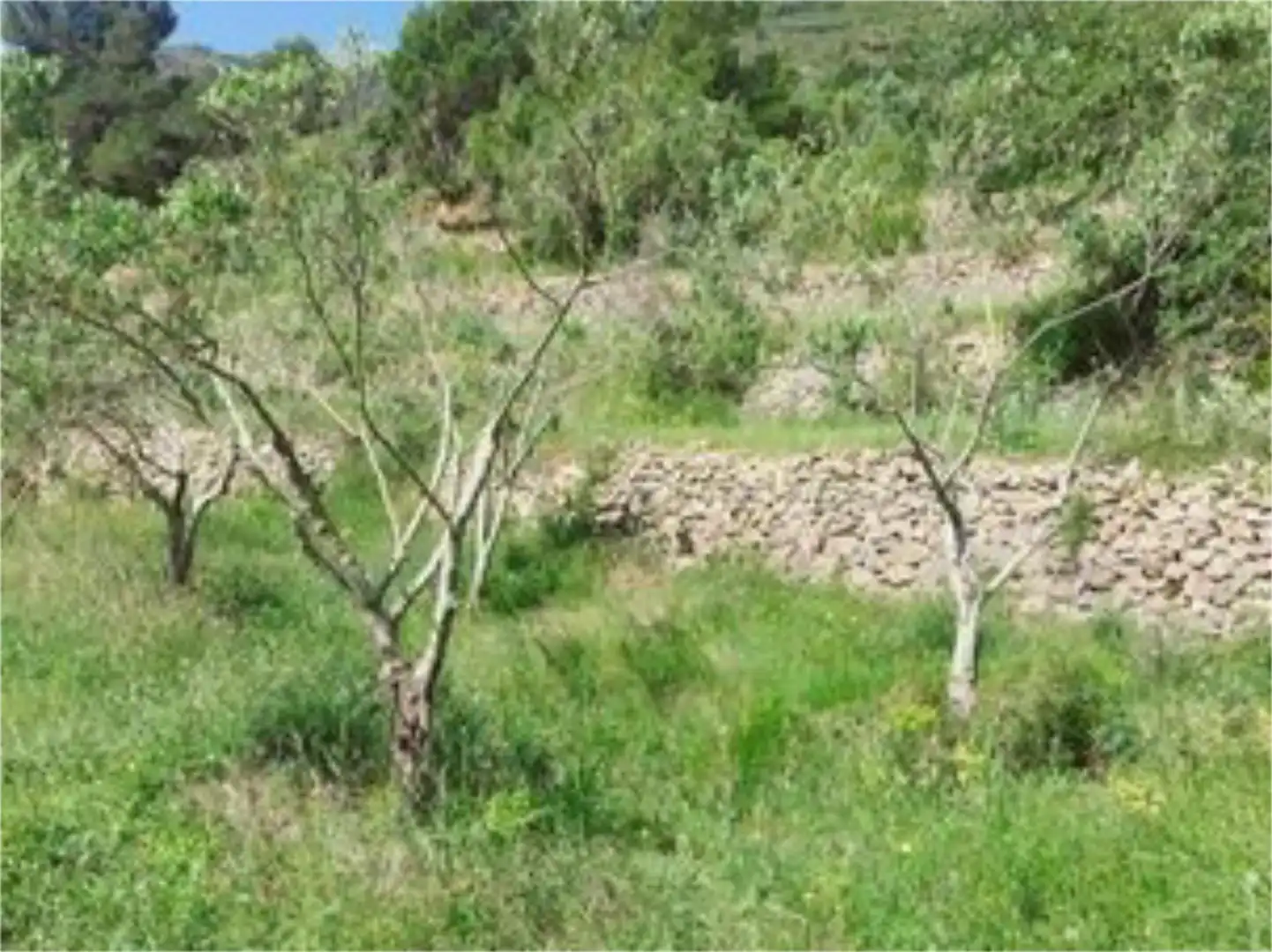 Terreno en venta en Xaló Terreno en venta en Xaló