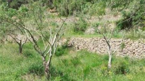 Land for sale in Xaló, Alicante - image 2 Photo 2 of Land for sale in Xaló, Alicante