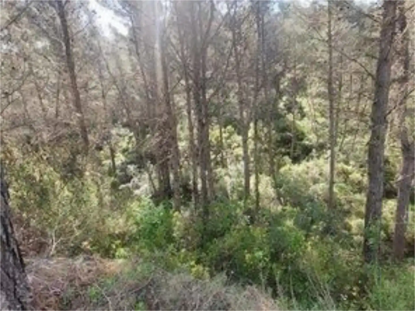 Terreno en venta en Xaló Terreno en venta en Xaló