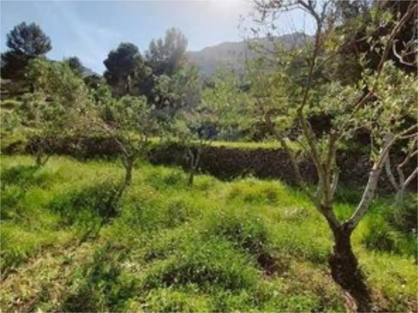 Terreno en venta en Xaló Terreno en venta en Xaló
