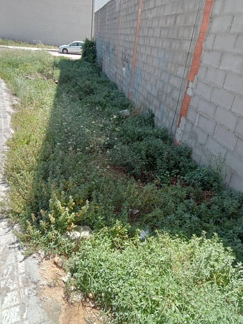 Land for sale in Yátova