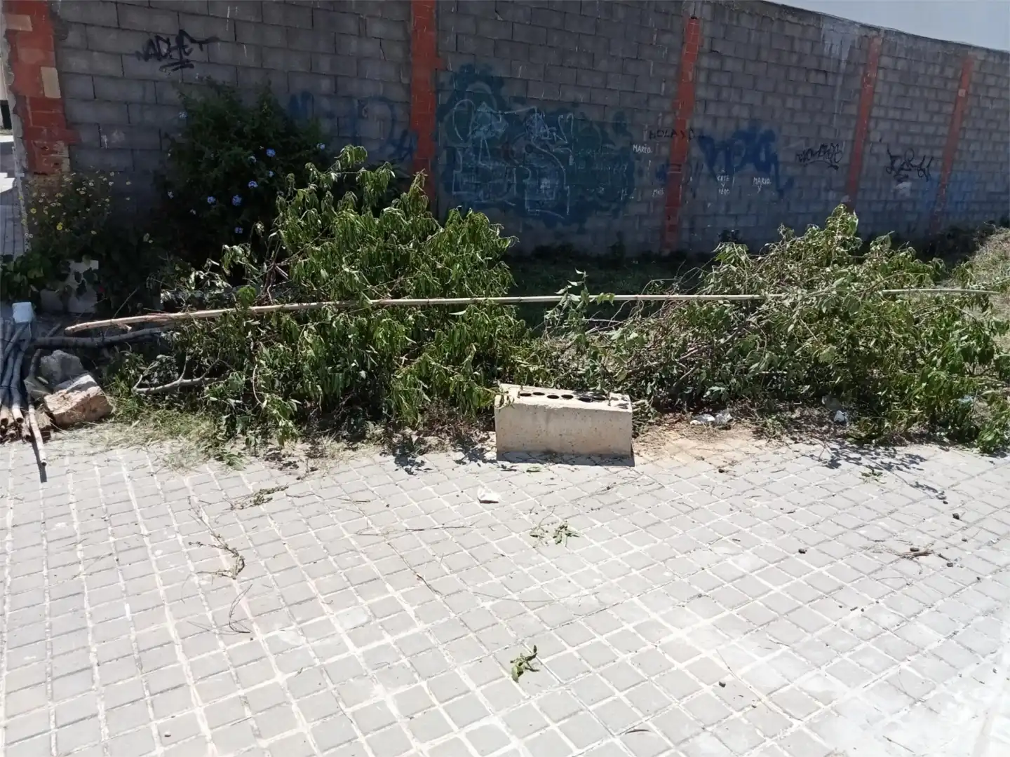 Vista exterior de Terreno en venta en Yátova