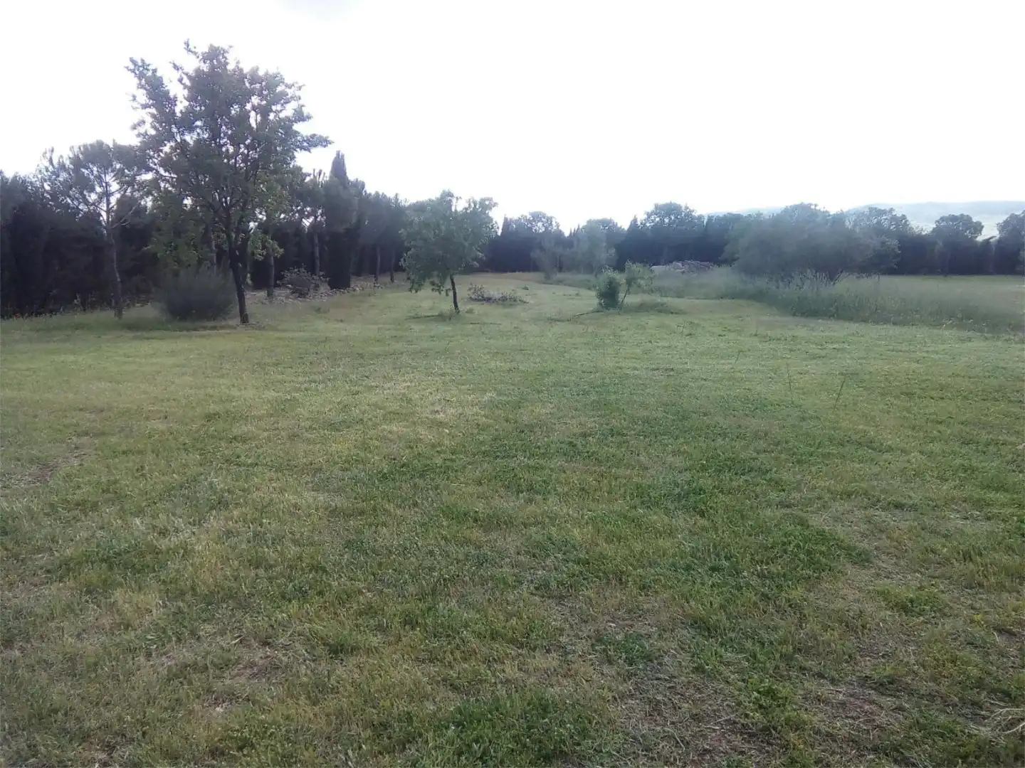 Land for sale in Moral de Calatrava Land for sale in Moral de Calatrava