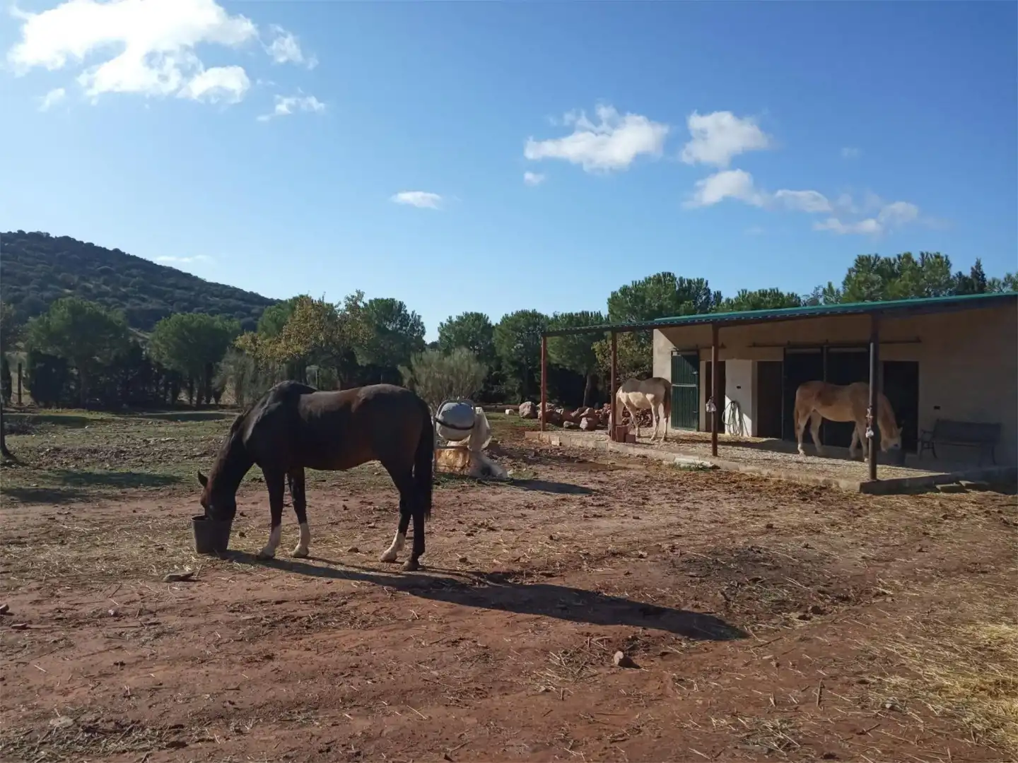 Land for sale in Moral de Calatrava Exterior view of Land for sale in Moral de Calatrava