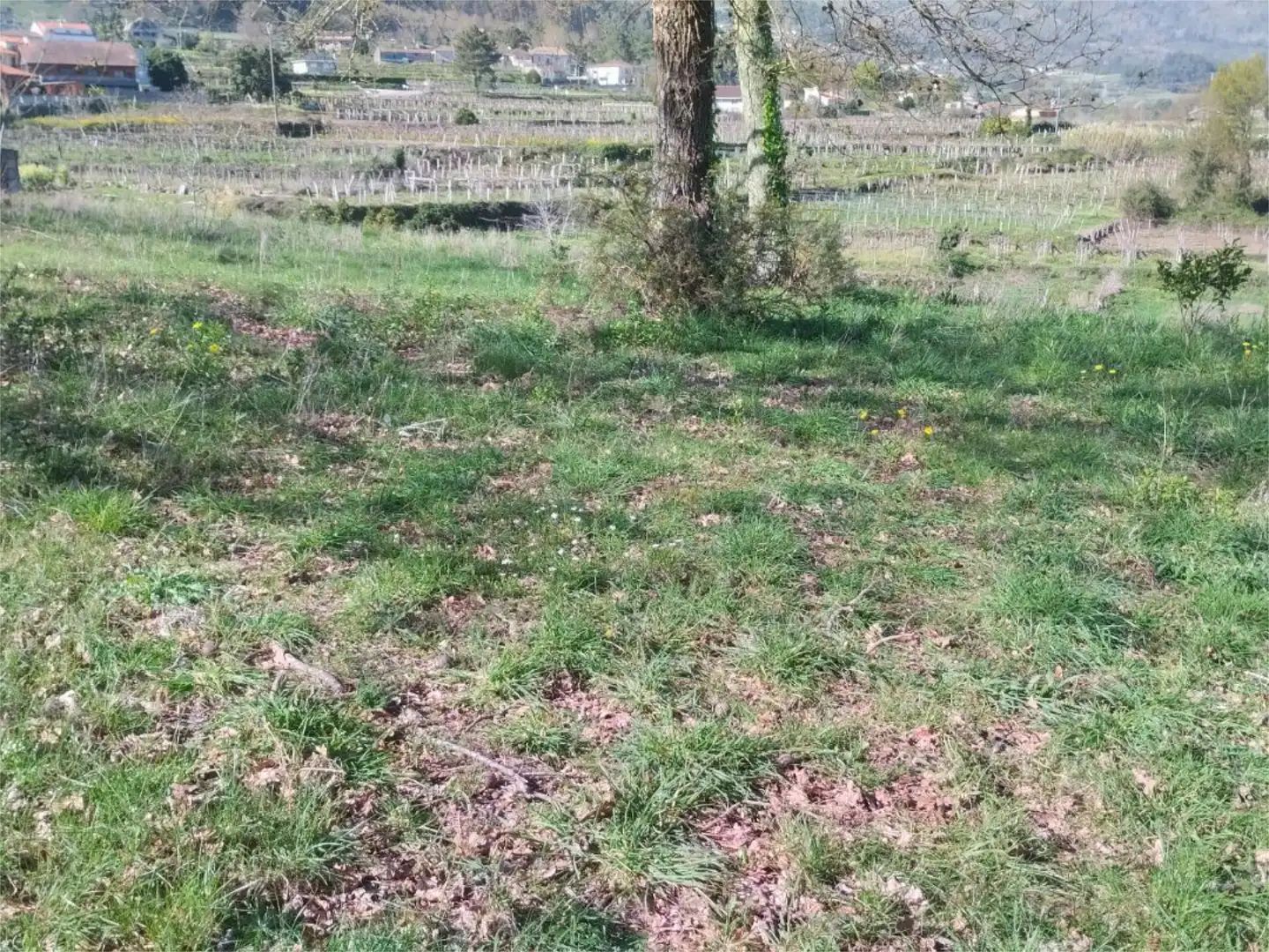 Bebaubares Gelände zum Verkauf in Arbo