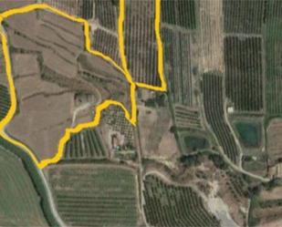 Non-constructible Land for sale in Vilanova de Segrià