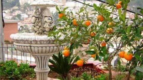 Casa o xalet en venda a Carrer Dels Pintors, 1, Vallirana, Barcelona - imatge 4 Foto 4 de Casa o xalet en venda a Carrer Dels Pintors, 1, Vallirana, Barcelona