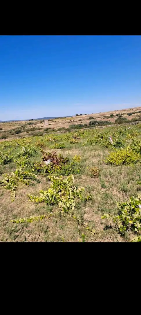 Terreno en venta en ZA-321, 6, Pino del Oro Terreno en venta en Pino del Oro