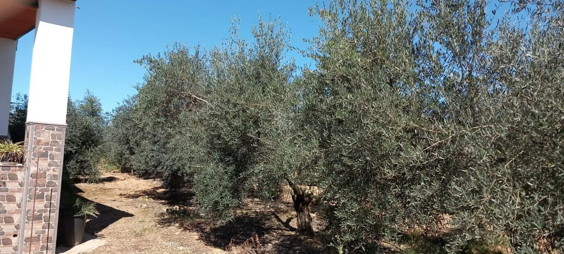 Finca rústica en venda a Jose Rodriguez, 2, Alcolea del Río Finca rústica en venda en Alcolea del Río amb Aire condicionat, Calefacció i Jardí privat