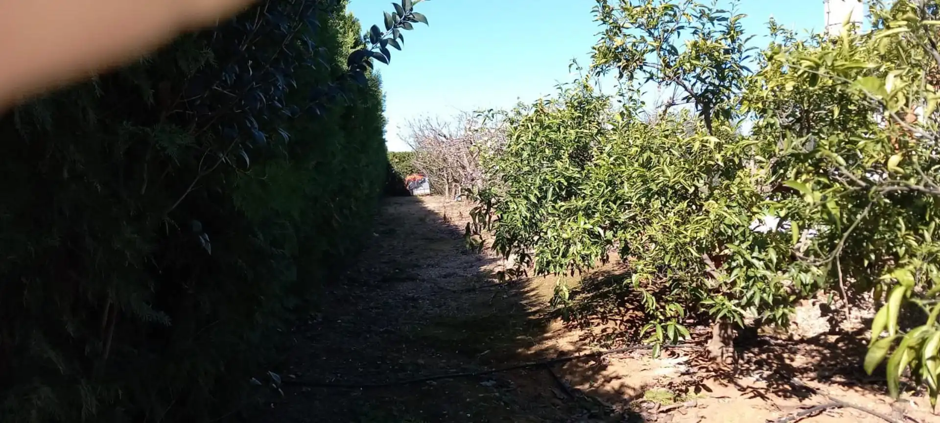 Finca rústica en venda a Jose Rodriguez, 2, Alcolea del Río Finca rústica en venda en Alcolea del Río amb Aire condicionat, Calefacció i Jardí privat