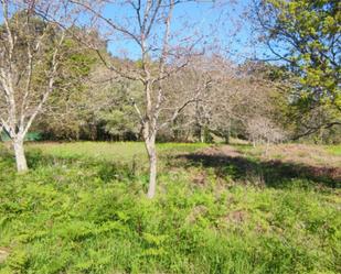 Non-constructible Land for sale in Cangas 