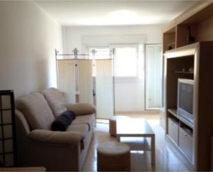 Living room of Flat for sale in Roquetas de Mar  with Air Conditioner, Heating and Private garden