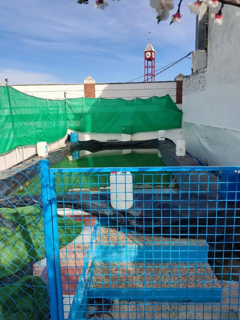Swimming pool of Detached homes for sale in Castillo de Locubín  with Private garden, Terrace and Storage room