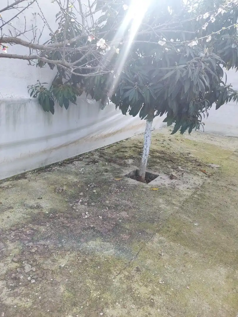 Detached homes for sale in Castillo de Locubín  with Private garden, Terrace and Storage room