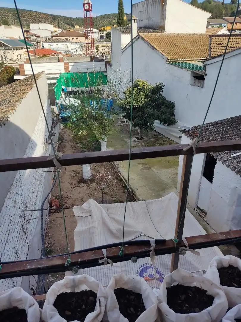 Garden of Detached homes for sale in Castillo de Locubín  with Private garden, Terrace and Storage room