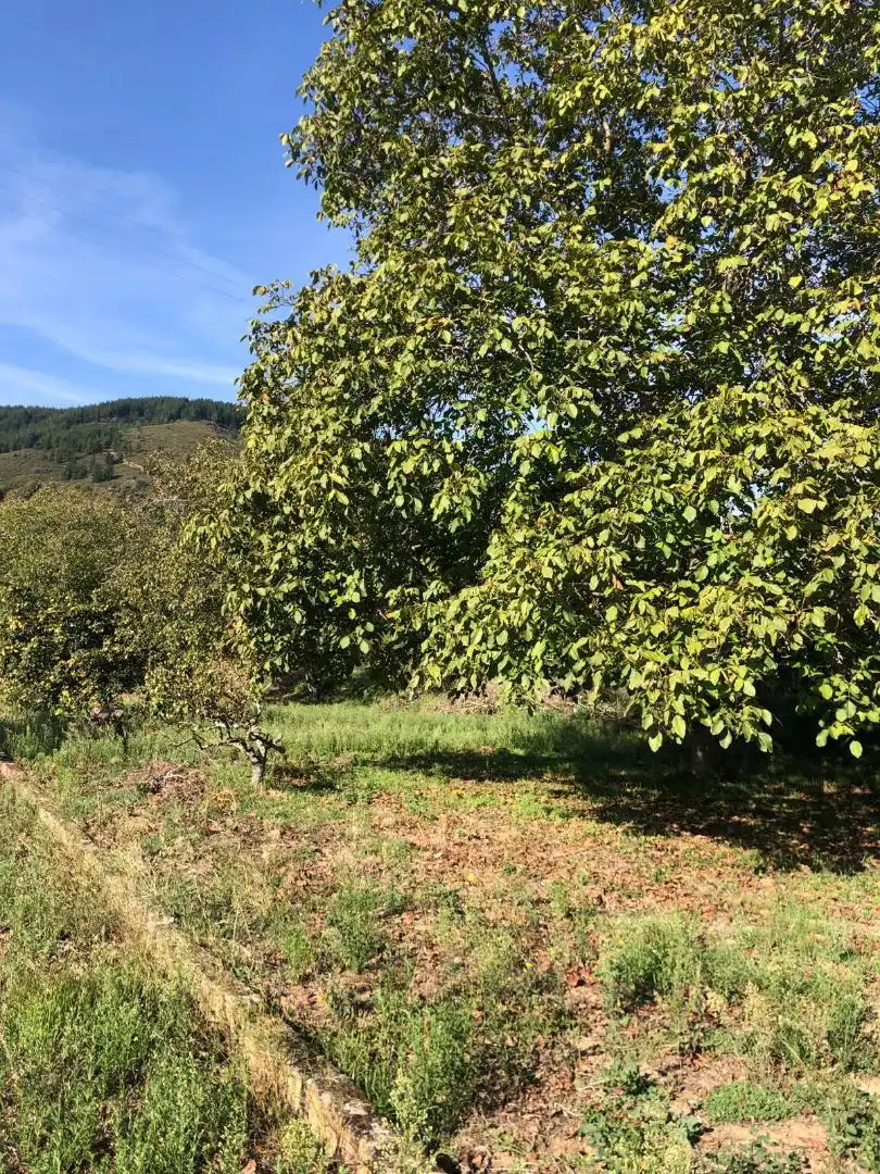 Terreno en venta en Calle Peña Picón, 41, Villafranca del Bierzo Terreno en venta en Villafranca del Bierzo