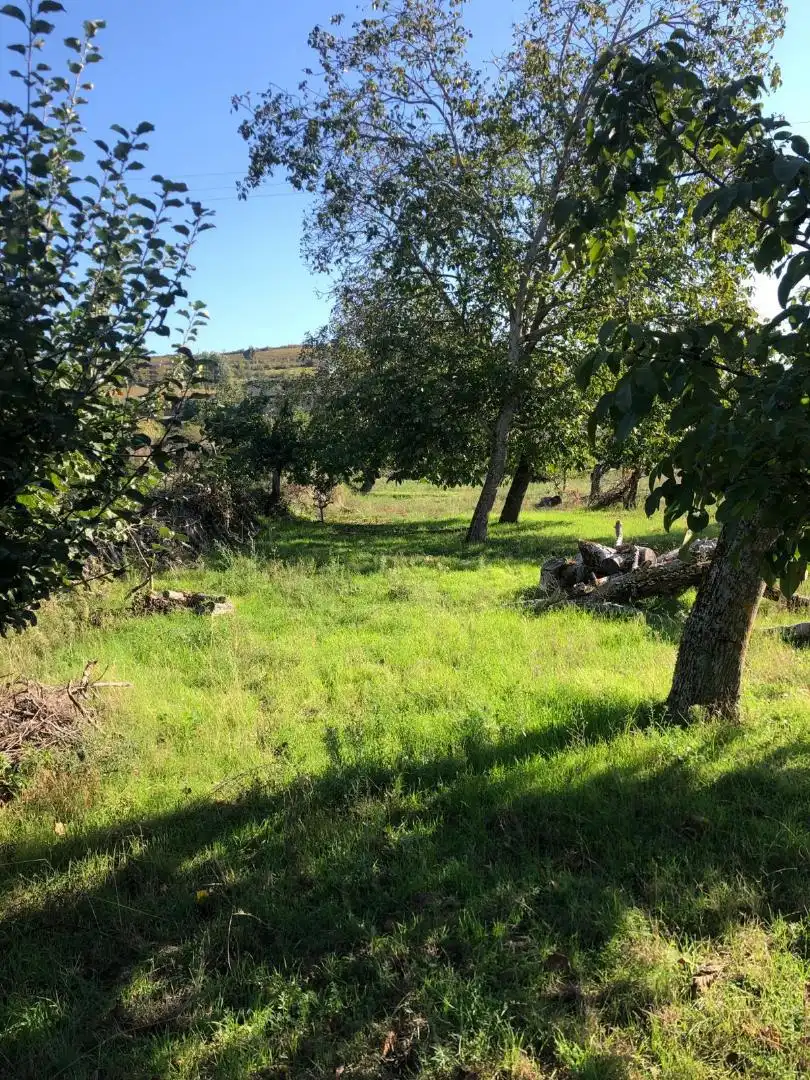Terreno en venta en Calle Peña Picón, 41, Villafranca del Bierzo Terreno en venta en Villafranca del Bierzo