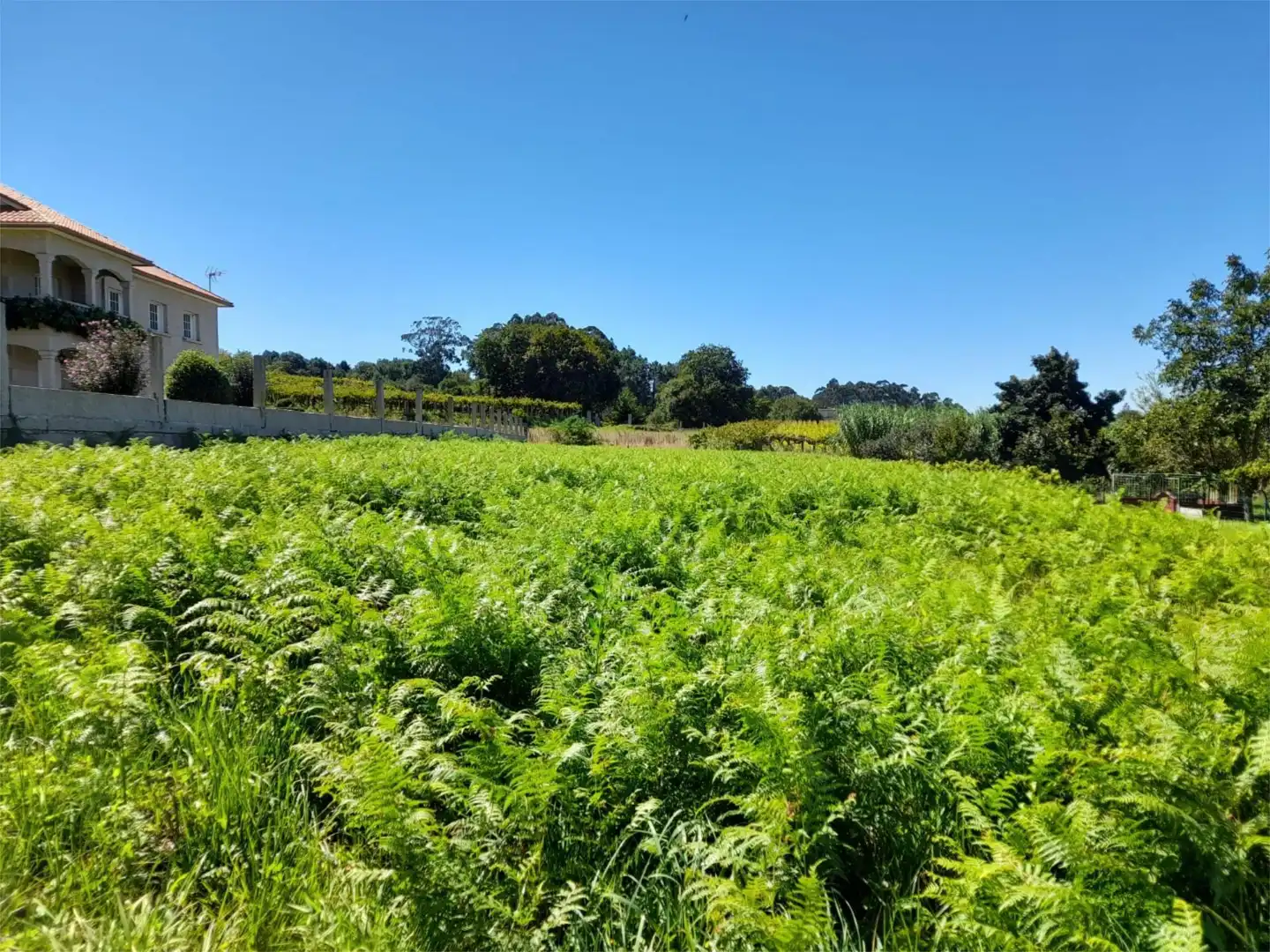 Bebaubares Gelände zum Verkauf in Sanxenxo
