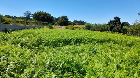 Photo 4 of Constructible Land for sale in Ep-9205, 27, Nantes, Pontevedra