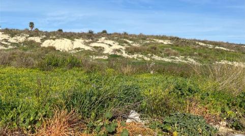 Photo 5 of Land for sale in Camino de Martin Miguel, 23, Bonanza - Avda de Huelva - Barrio Andalucia, Cádiz
