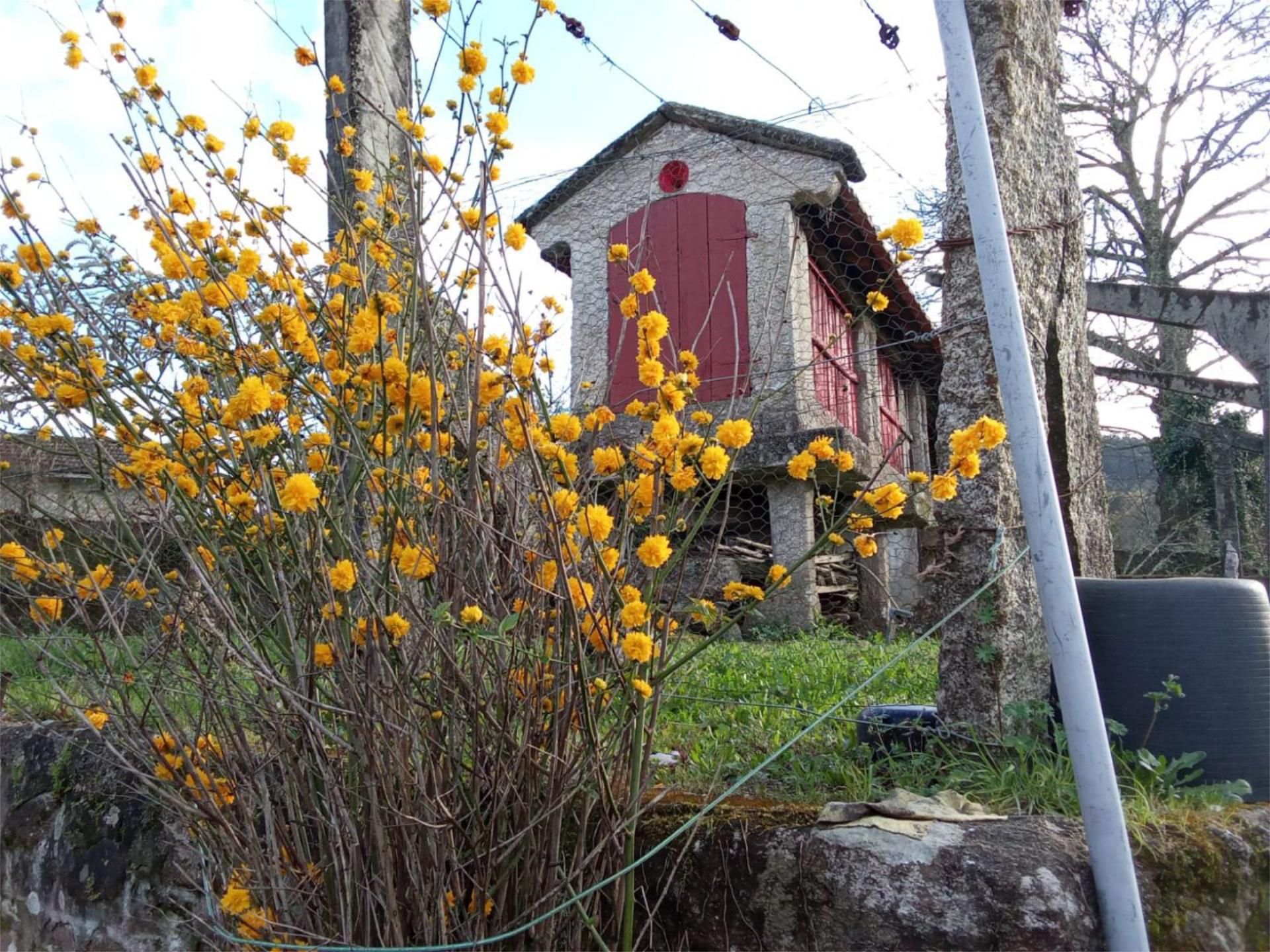 Exterior view of House or chalet for sale in Mondariz  with Terrace